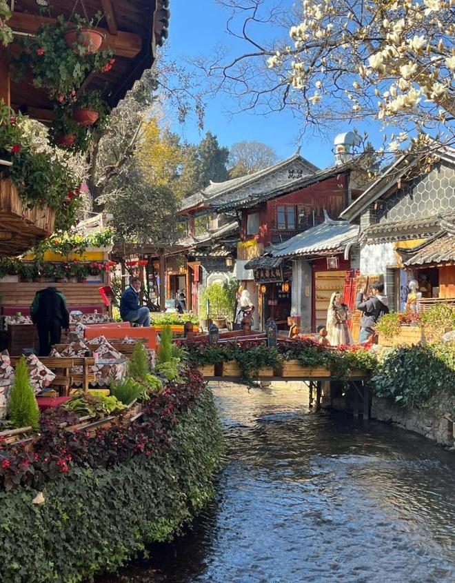攻略6天5晚云南旅游最佳出行路线及花销尊龙凯时app重庆报团去云南旅游六日(图5)
